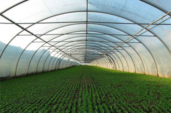 111006135.jpg 1-2.jpg