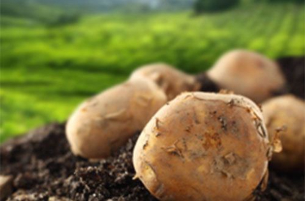 111033628.jpg 1-5.jpg