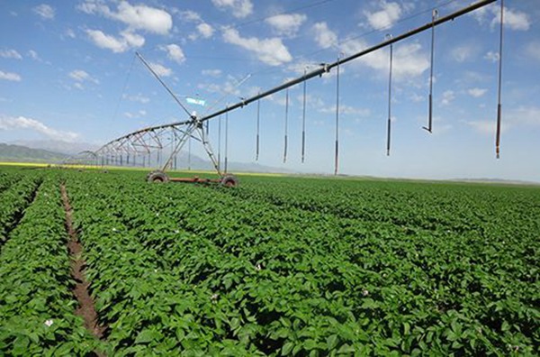 111047175.jpg 1-6.jpg